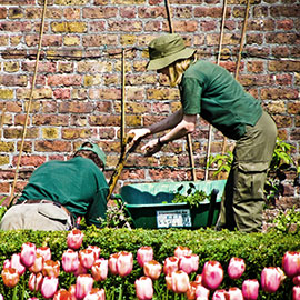 service gardening