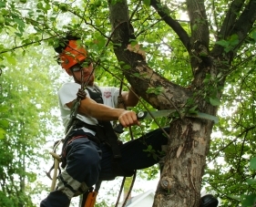 tree_pruning