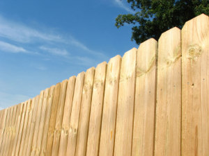 Fence Installation