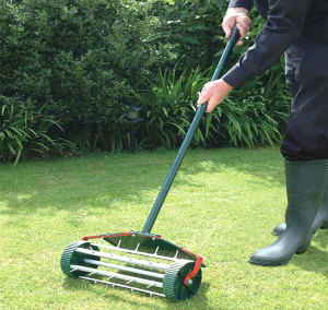 Lawn Aerating