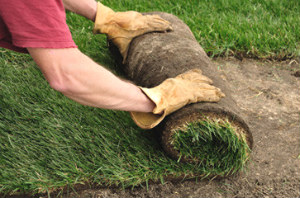 turf_laying