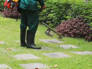 Grass Trimming