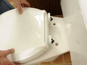 replace-toilet-seat