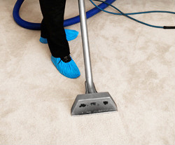 Steam Carpet Cleaner